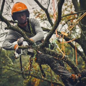 Stihl STIHL GTA 40 mini tronçonneuse coupe-branches à batterie Nu - vue 5