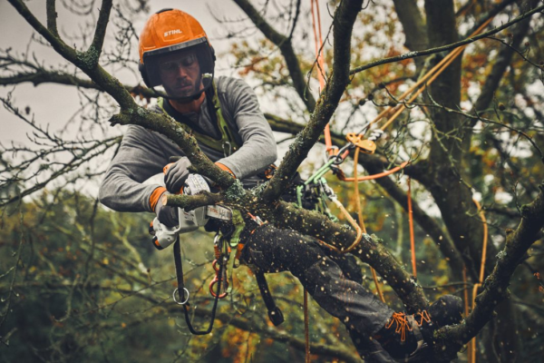Stihl STIHL GTA 40 mini tronçonneuse coupe-branches à batterie Nu - vue 5